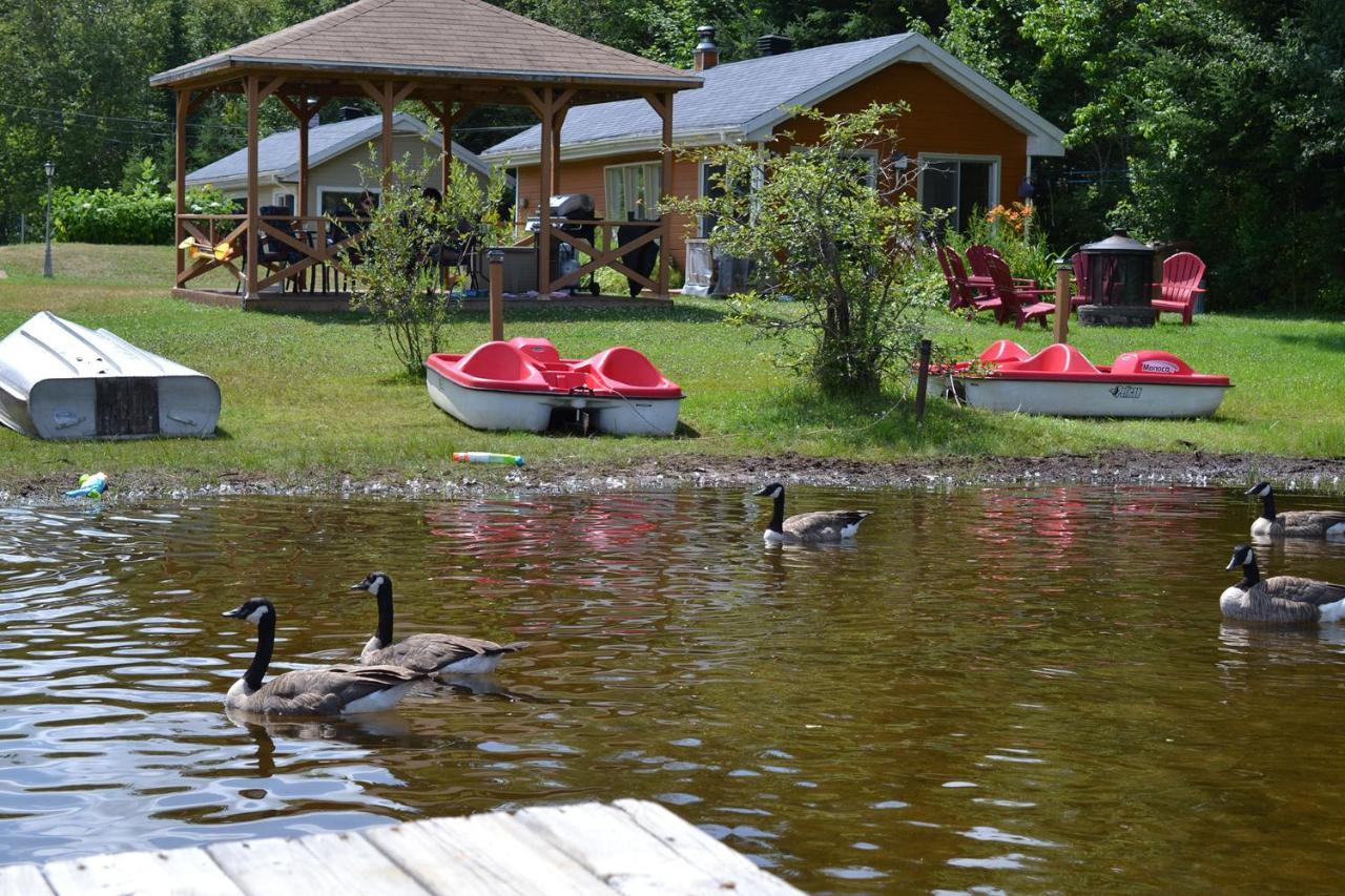 Les 4 Chalets - Le 605 Lac-Saint-Paul エクステリア 写真
